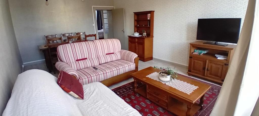 een woonkamer met een bank en een tv bij appartement 2 chambres in Baccarat