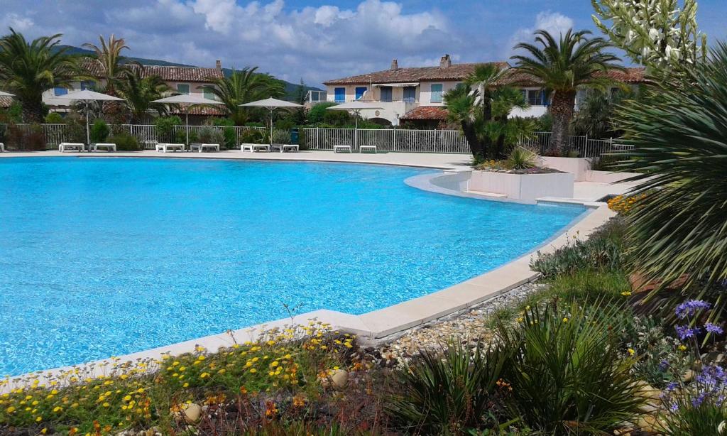 une grande piscine bleue dans une cour avec des palmiers dans l'établissement Villa Domaine du golf de Roquebrune, à Roquebrune-sur Argens