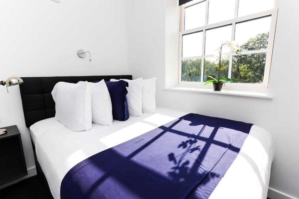 Modern Suite in Fenway Neighborhood photo