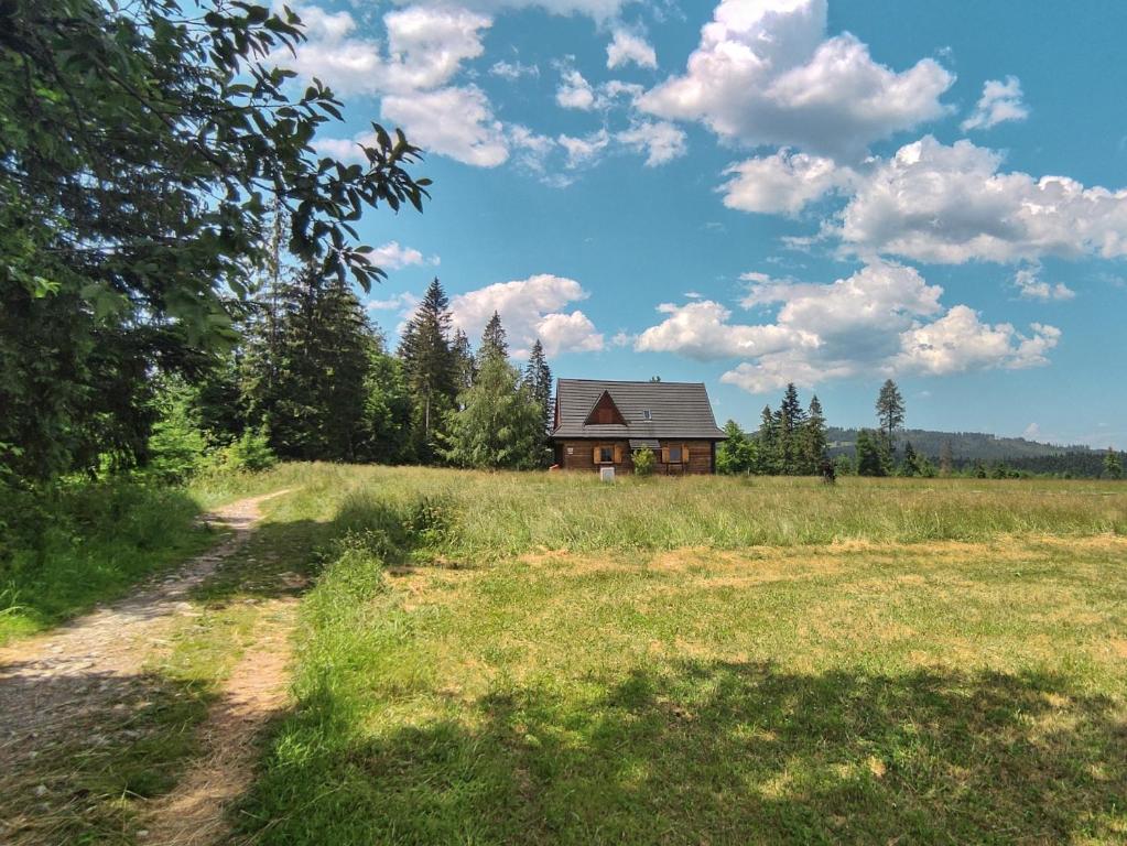 a house in the middle of a field with a dirt road at Szałas na szlaku in Witów