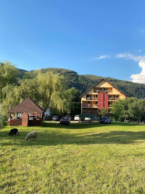two animals grazing in a field in front of a building at Pensiunea Mary in Moieciu de Jos