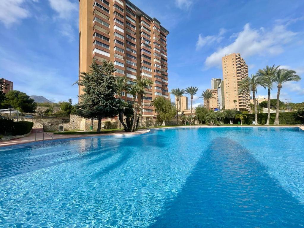 ein großes Schwimmbad in einer Stadt mit hohen Gebäuden in der Unterkunft Coblanca Dream Poniente in Benidorm