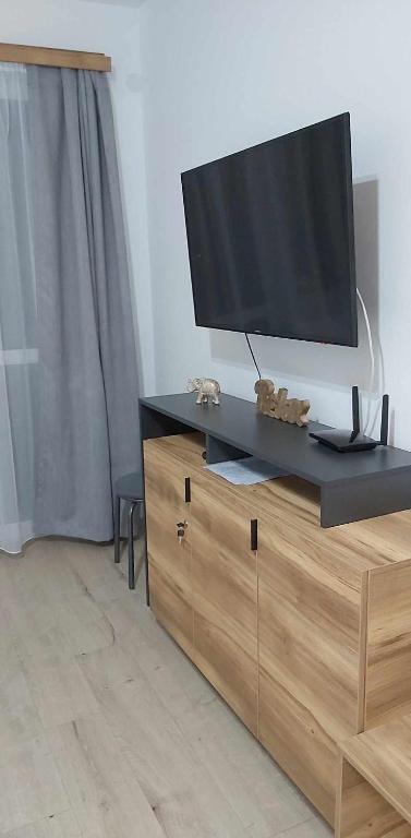 Televiisor ja/või meelelahutuskeskus majutusasutuses D&D Wellness Apartmanok - Dávid Wellness Apartman