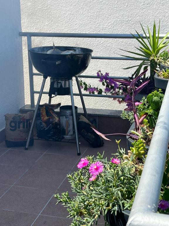 Zahrada ubytování Apartman I & R