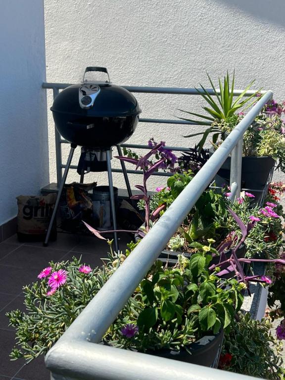 Zahrada ubytování Apartman I & R