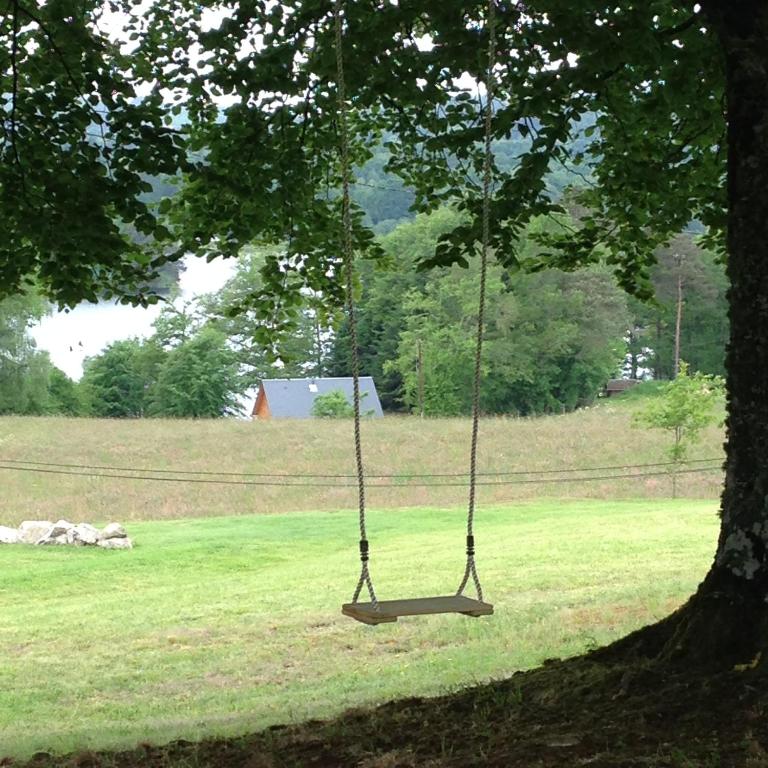a swing hanging from a tree in a field at Maison Chabrat in Liginiac