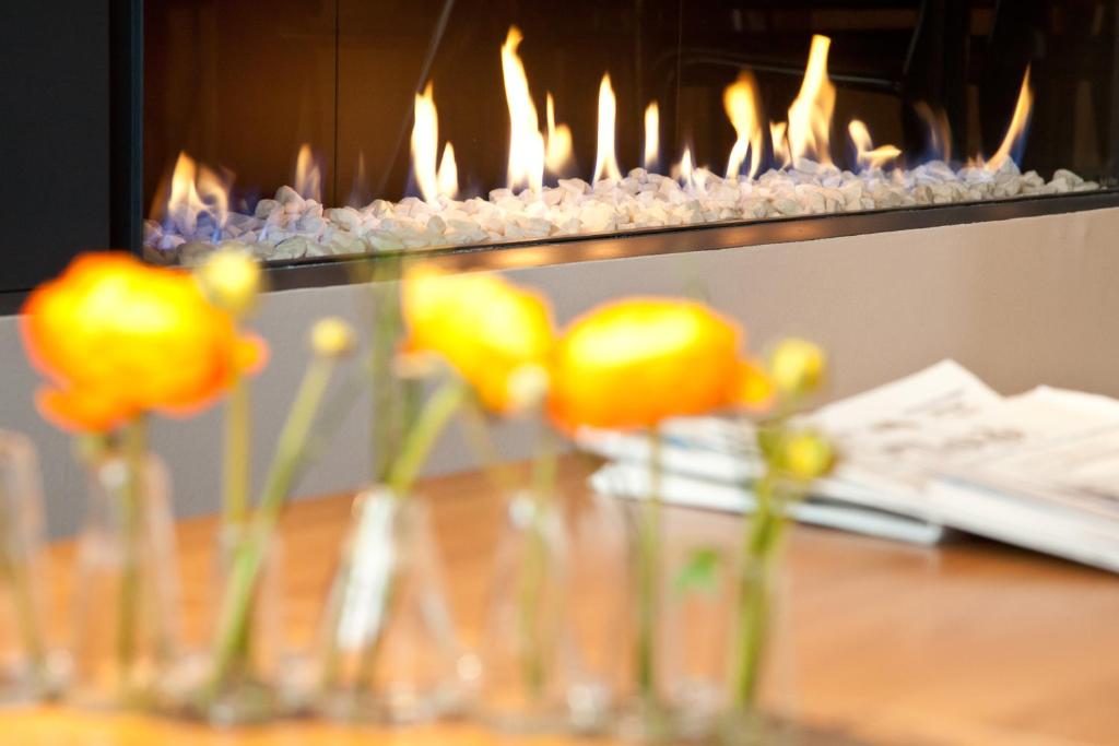 Fred'Hotel - Resim 36