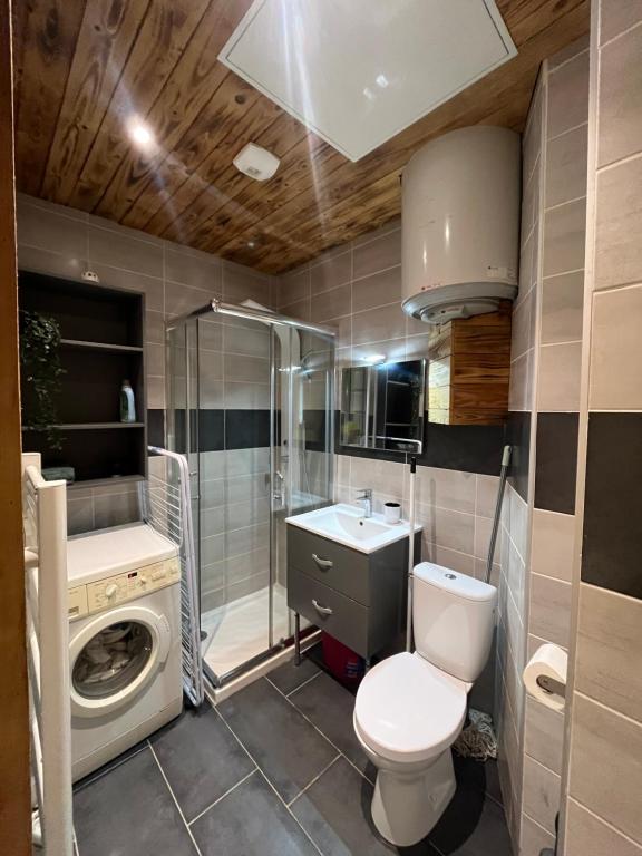 La salle de bains est pourvue de toilettes et d'un lave-linge. dans l'établissement Appartement à Sevrier, à Sévrier