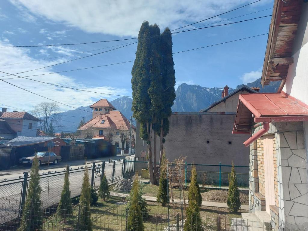 a view of a street in a town with a tree at casa hermina in Buşteni