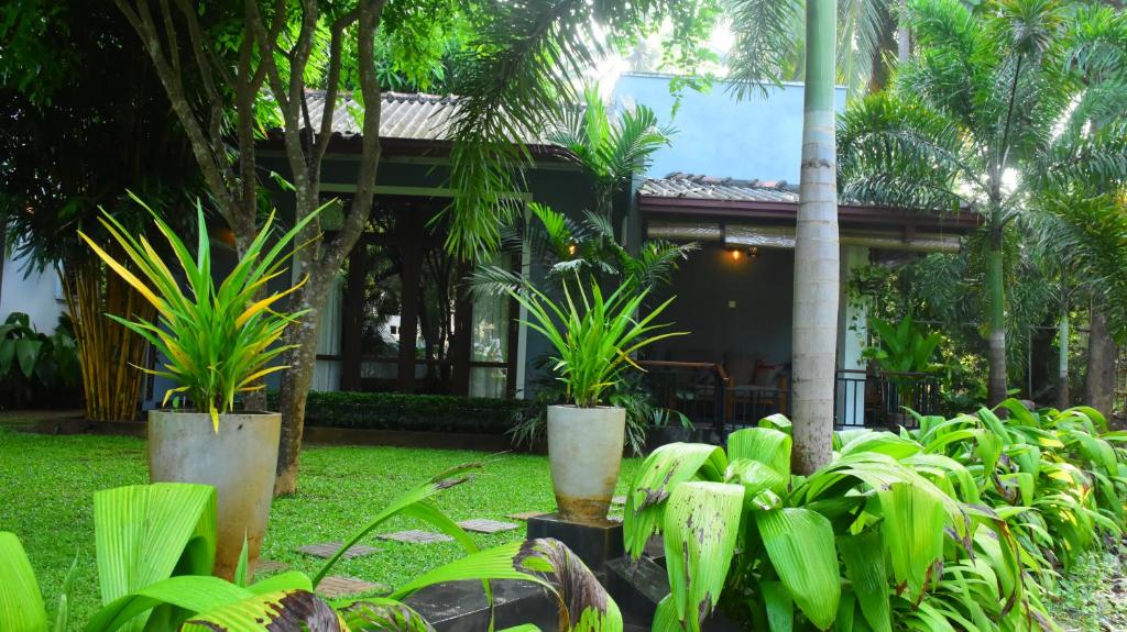 a garden with plants in front of a house at Leel’s Safari Cottage in Udawalawe