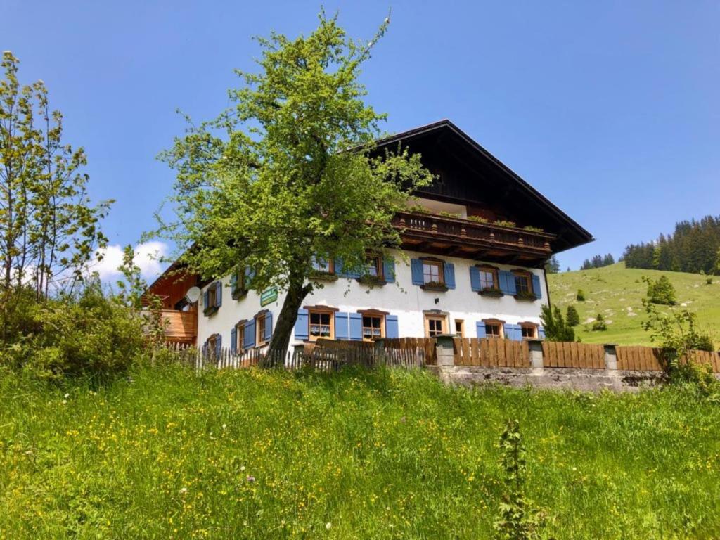 a house on a hill with a tree in front of it at Gästehaus Holl in Schattwald