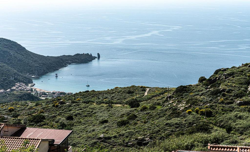 a view of a large body of water from a hill at La Casa del Panza con vista mare in Isola del Giglio