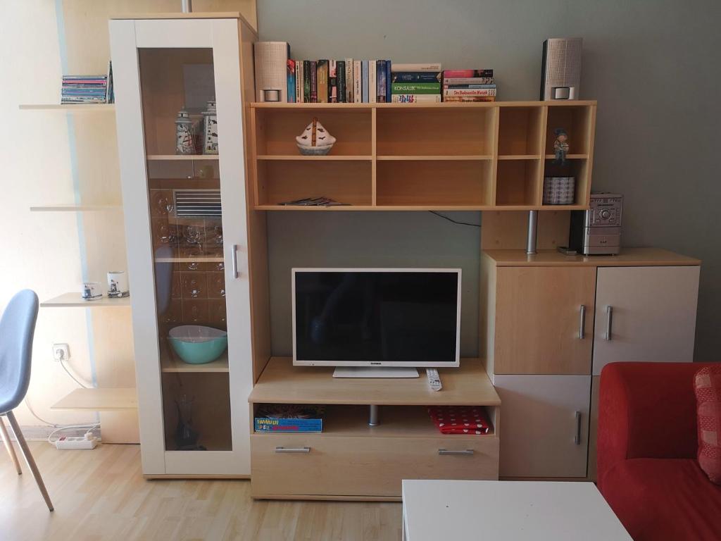 a book shelf with a television on a desk at Ferienhaus Blick auf die Müritz in Sietow