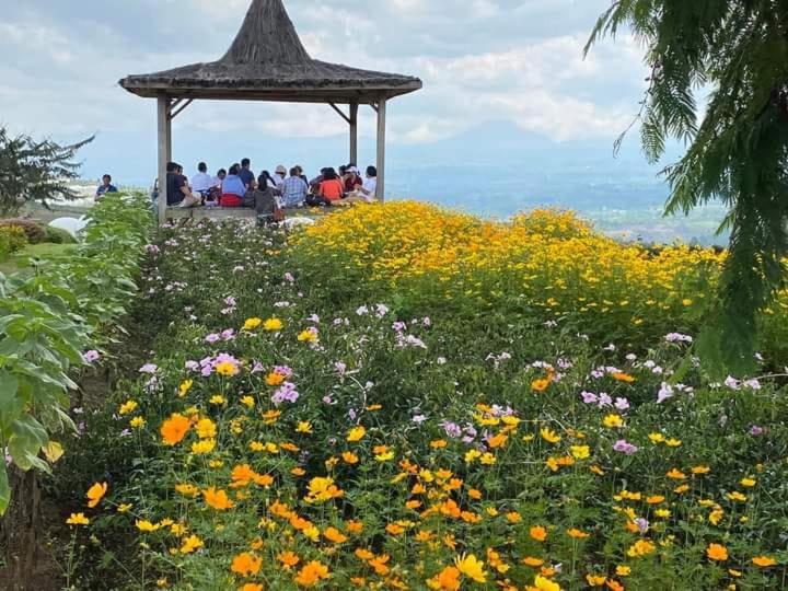 personas sentadas en un cenador en un campo de flores en Villa Cemara Siosar, en Kabanjahe