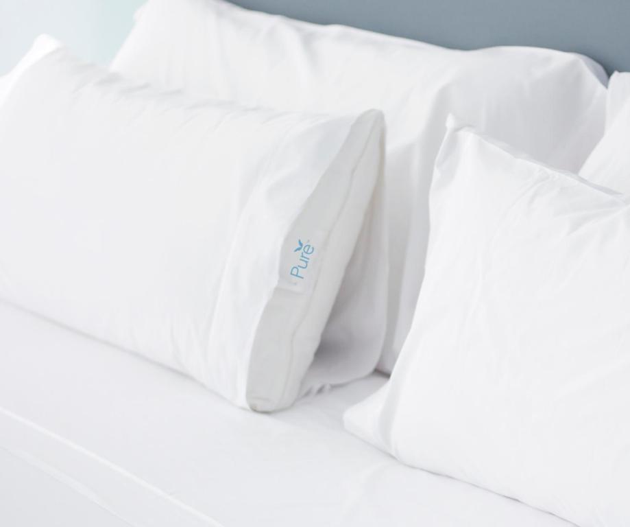 Embassy Suites by Hilton Kansas City International Airport - Pure Wellness King Suite