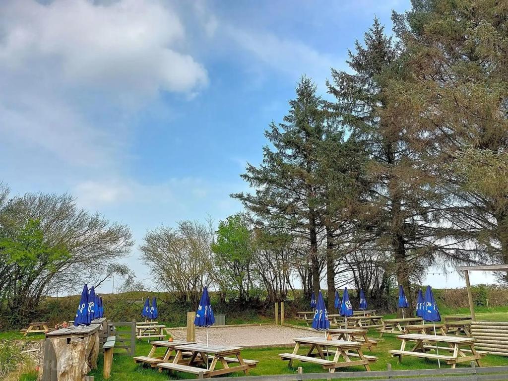 a group of picnic tables with blue umbrellas at Pitch 2 - Rising Sun Inn Campsite in Launceston