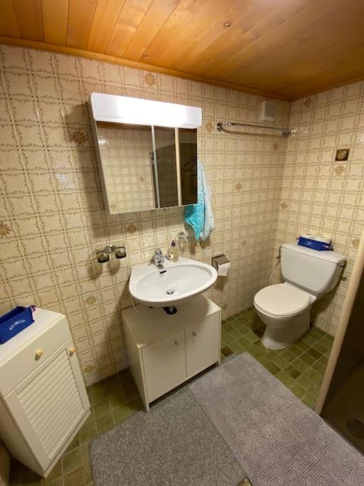 Koupelna v ubytování 1 room apt, kitchen, patio, in beautiful chalet