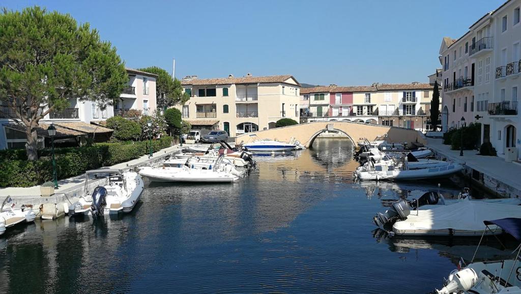 Fotografia z galérie ubytovania Grimaud 4 personnes - Piscine v destinácii Grimaud