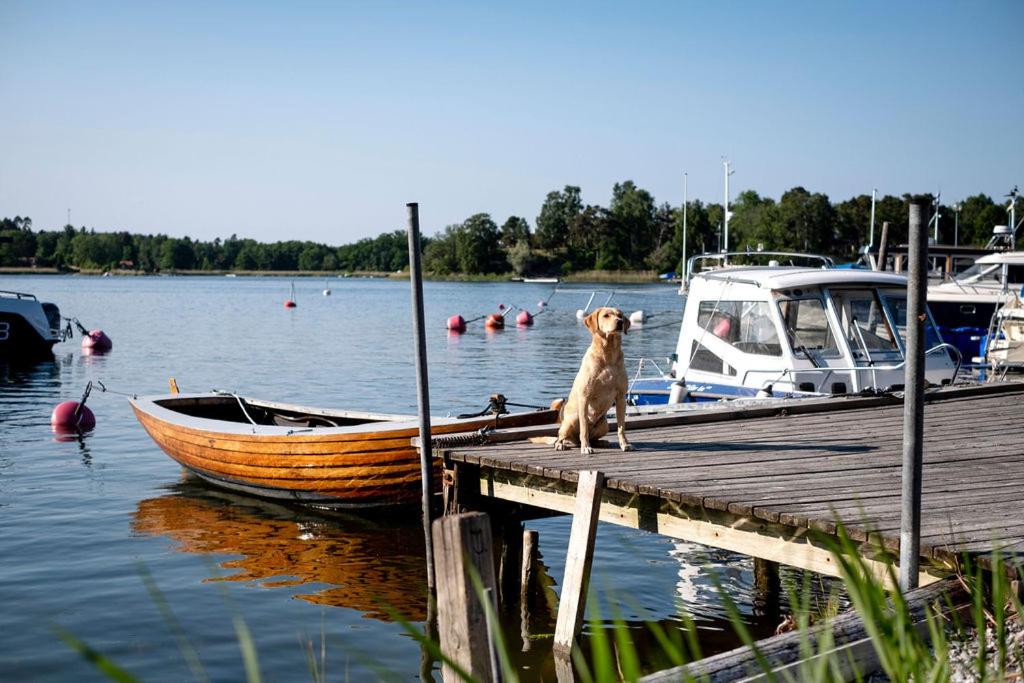 Výhled na řeku, která protéká v blízkosti apartmánu