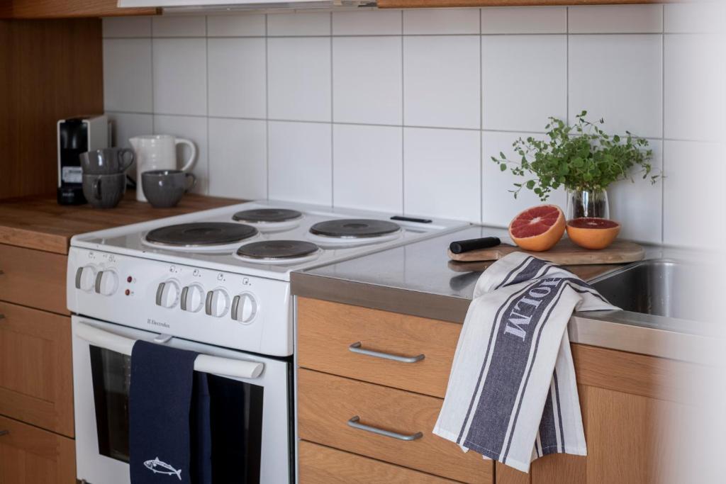 Kuchyň nebo kuchyňský kout v ubytování Blå Huset
