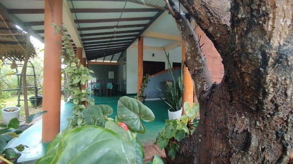 a house with plants and a tree in the foreground at Sigiri Dilu Villa in Sigiriya