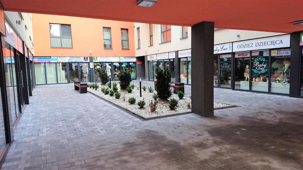 Exclusive Kielce - 18