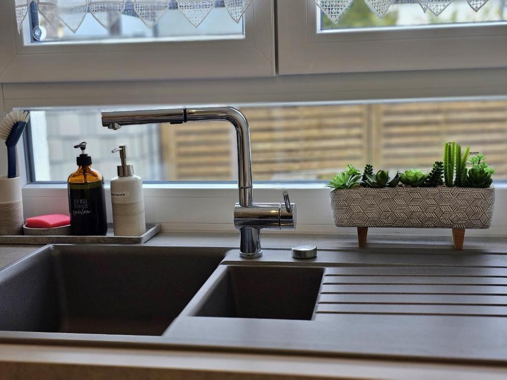 a kitchen sink with a faucet and a plant at Ferienhaus Kitzenwiese in Friedrichshafen