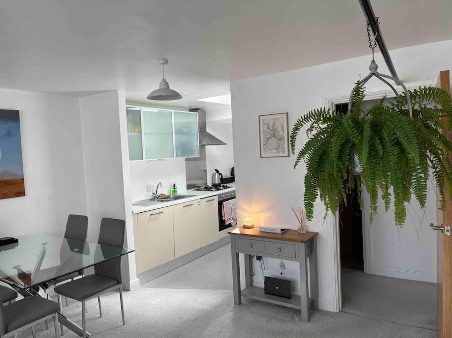 uma cozinha e sala de jantar com uma mesa e uma planta em Stylish apartment in the centre of Hebden Bridge. em Hebden Bridge