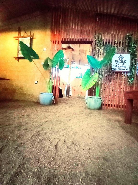 a group of plants in pots in a building at Selnara Private Luxury Villa and Ayurveda Spa in Bentota