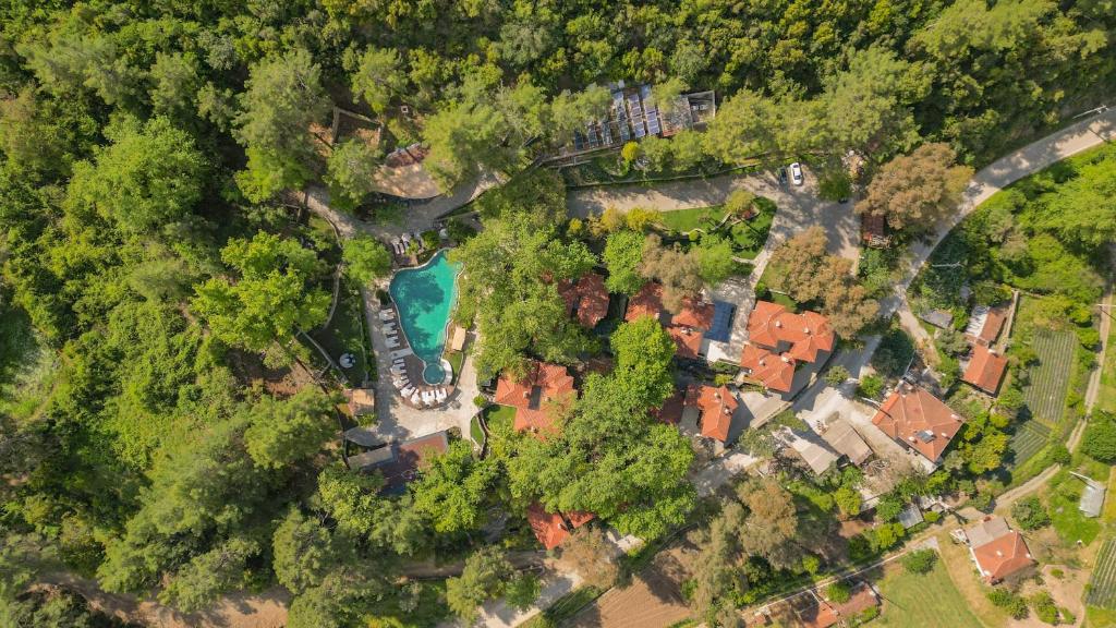 an overhead view of a house with a swimming pool and trees at Nuup Hotel in Marmaris