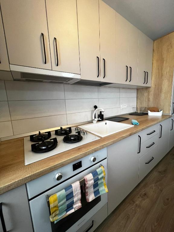 a kitchen with a stove and a sink at Chisoda in Chişoda