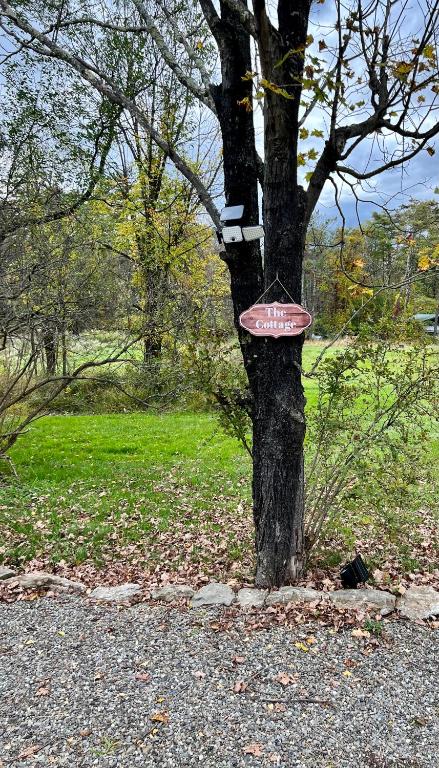 Příroda nedaleko prázdninového domu