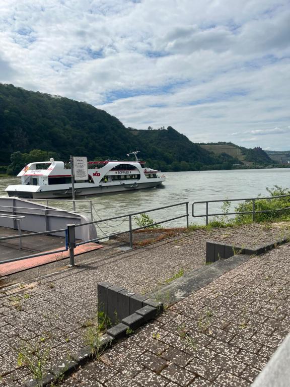 dos barcos están atracados en un río con árboles en Am Rhein, en Kaub