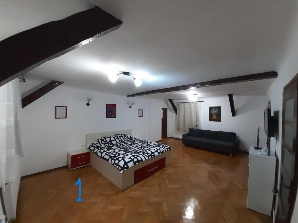 a bedroom with a bed and a couch in a room at Old Town Studio in Braşov