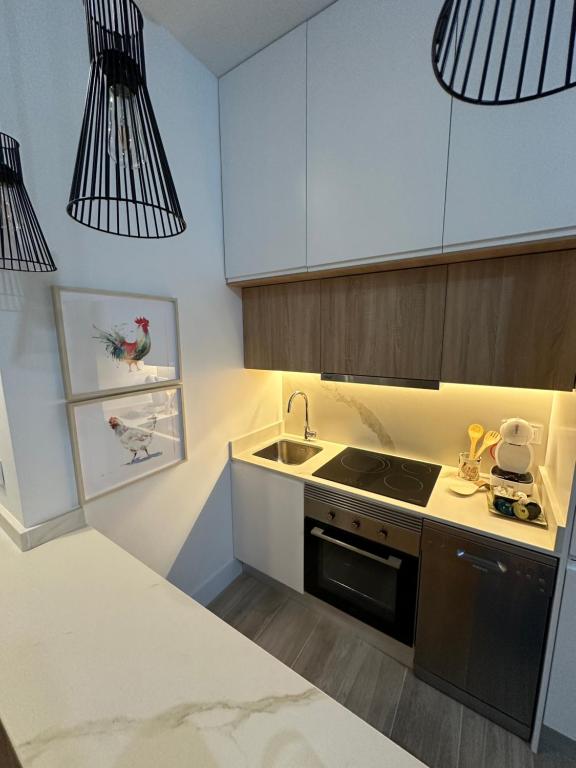Kuchyň nebo kuchyňský kout v ubytování Apartamentos Moncloa