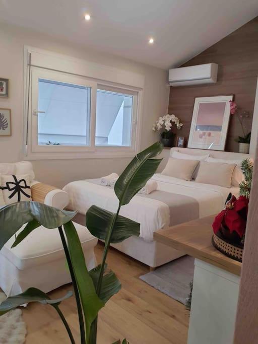 a living room with two beds and a couch at Cozy studio στο κεντρο in Larisa