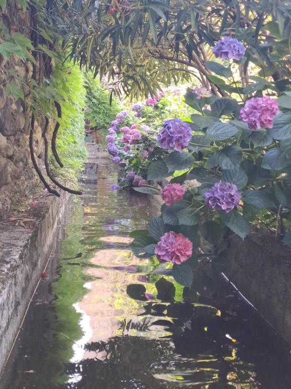 Zahrada ubytování Gîte 3 "le Canal de Baza" aux Magnolias