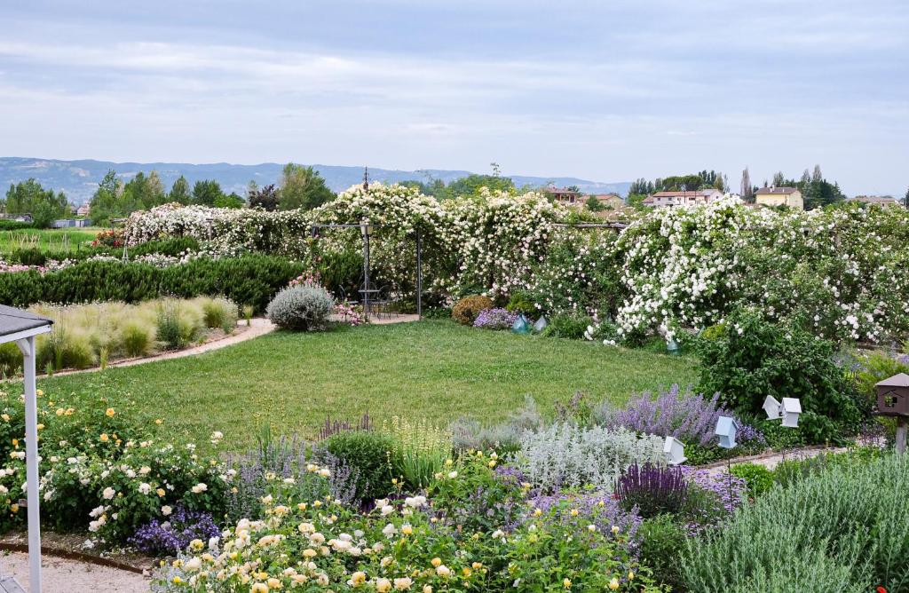 Il Fienile di Assisi - 15