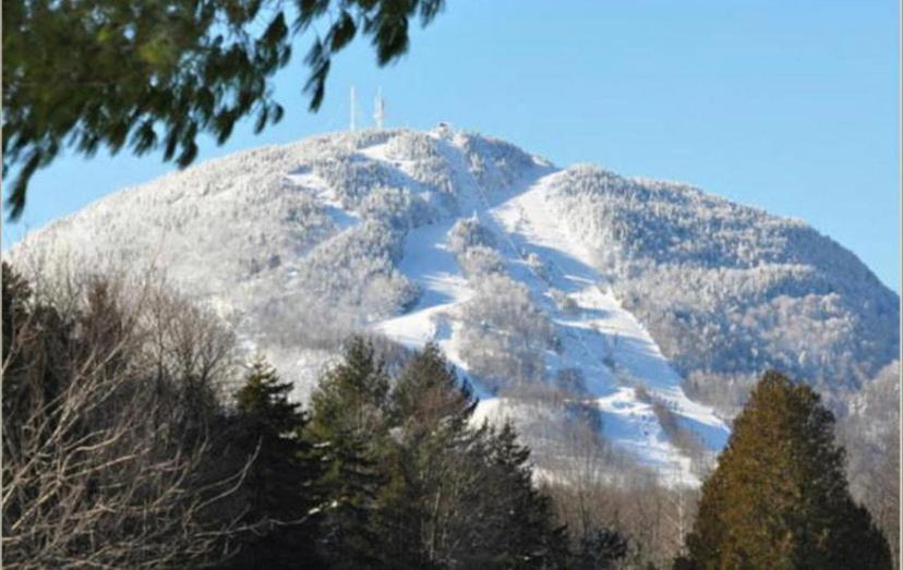 Condo Hotel Au pied du Mont Orford - Estudio Con Sofá Cama