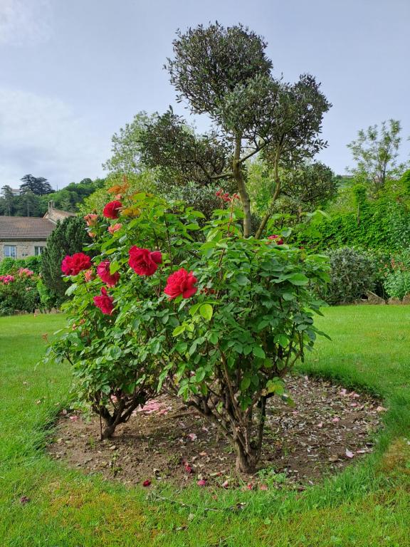Zahrada ubytování Gîte 3 "le Canal de Baza" aux Magnolias