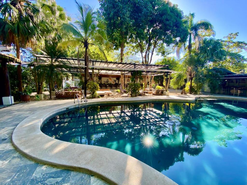 a swimming pool with a house and palm trees at Curiol Boutique Hotel & Lounge in Potrero