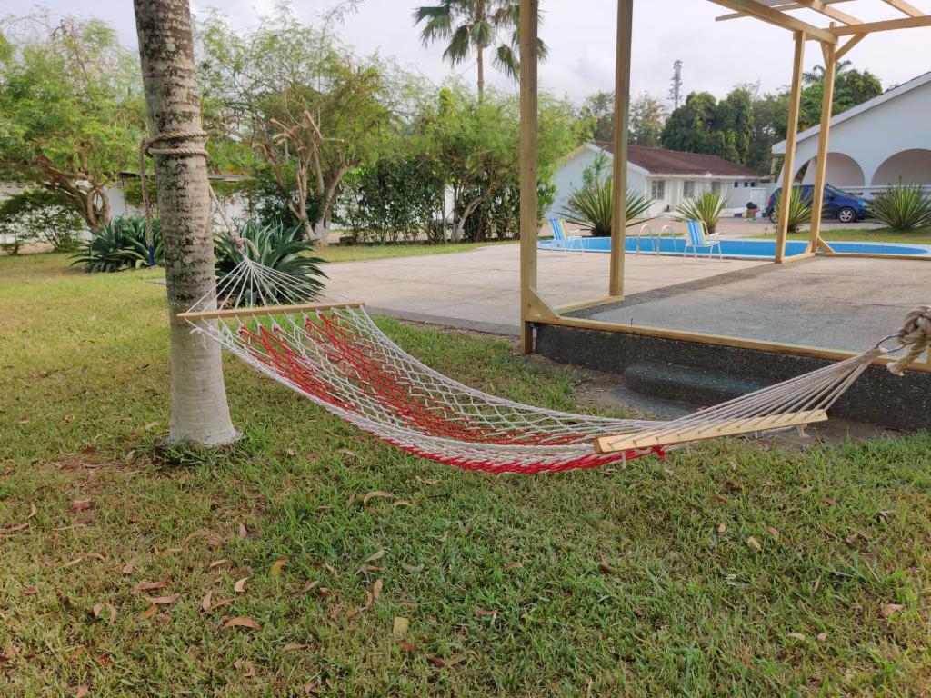 a hammock tied to a palm tree in a yard at Beach Road Oasis in Takoradi