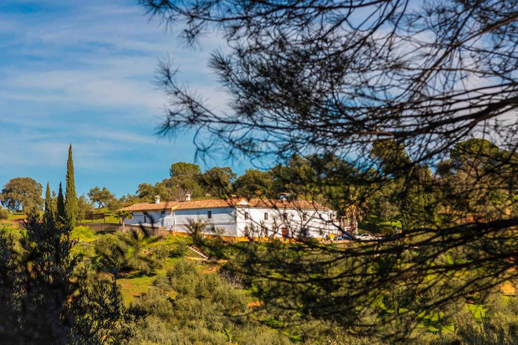 una casa en medio de un campo con árboles en Cortijo Isla Virgen, en Villaviciosa de Córdoba