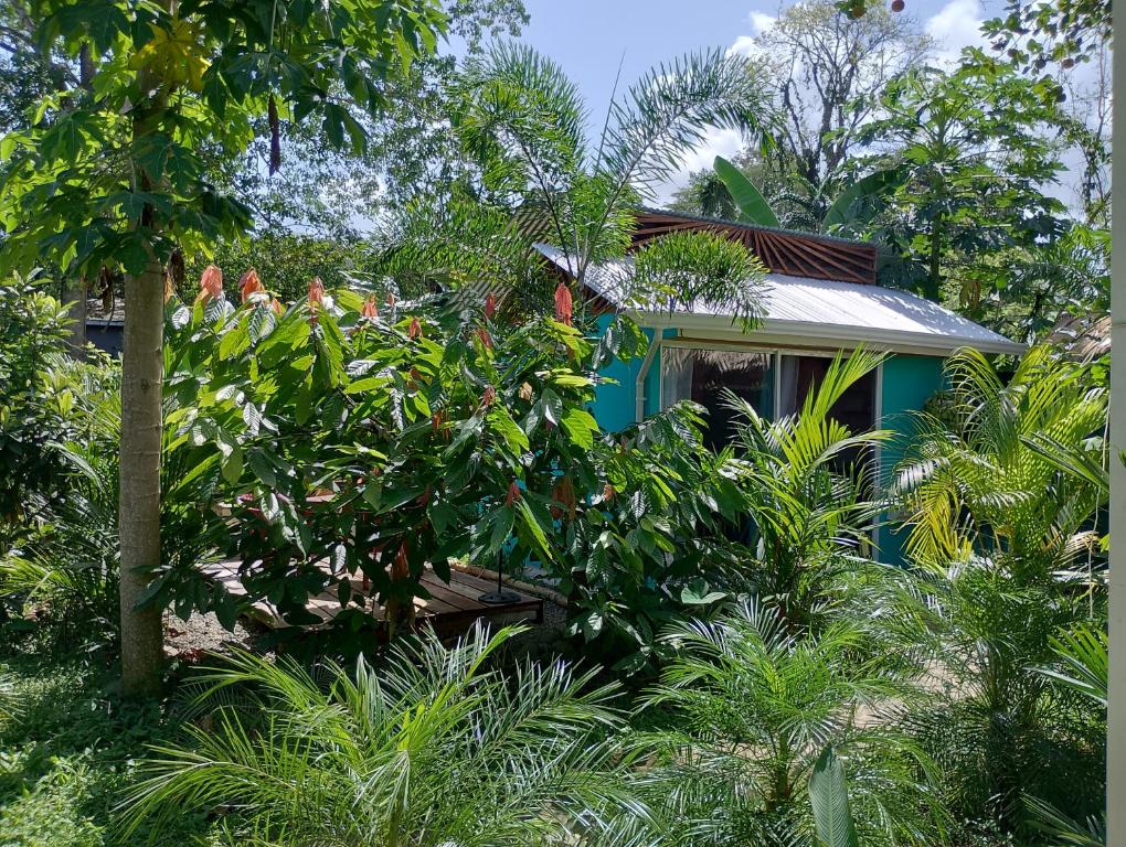 una casa azul en medio de un bosque en El Tucán Feliz - Jungle tiny guest house by Playa Cocles en Cocles