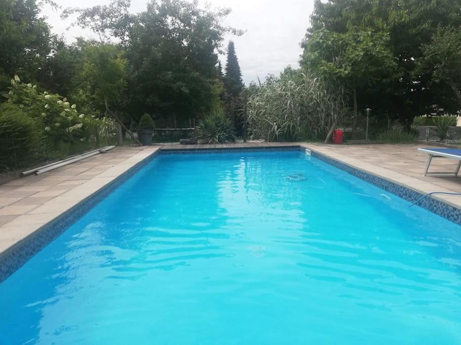 a large blue swimming pool in a yard at Logement avec piscine in Brunstatt