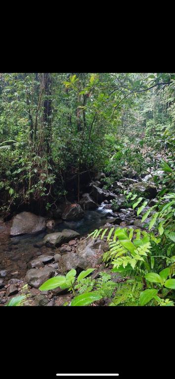Paesaggio naturale nelle vicinanze della stanza in casa privata