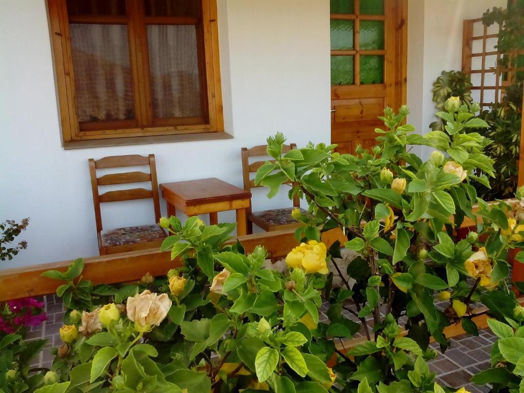 Drakano Rooms Ikaria Faros - 5