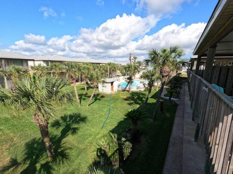 a view of a yard with palm trees and a pool at Cast-A-Waves in Port Aransas