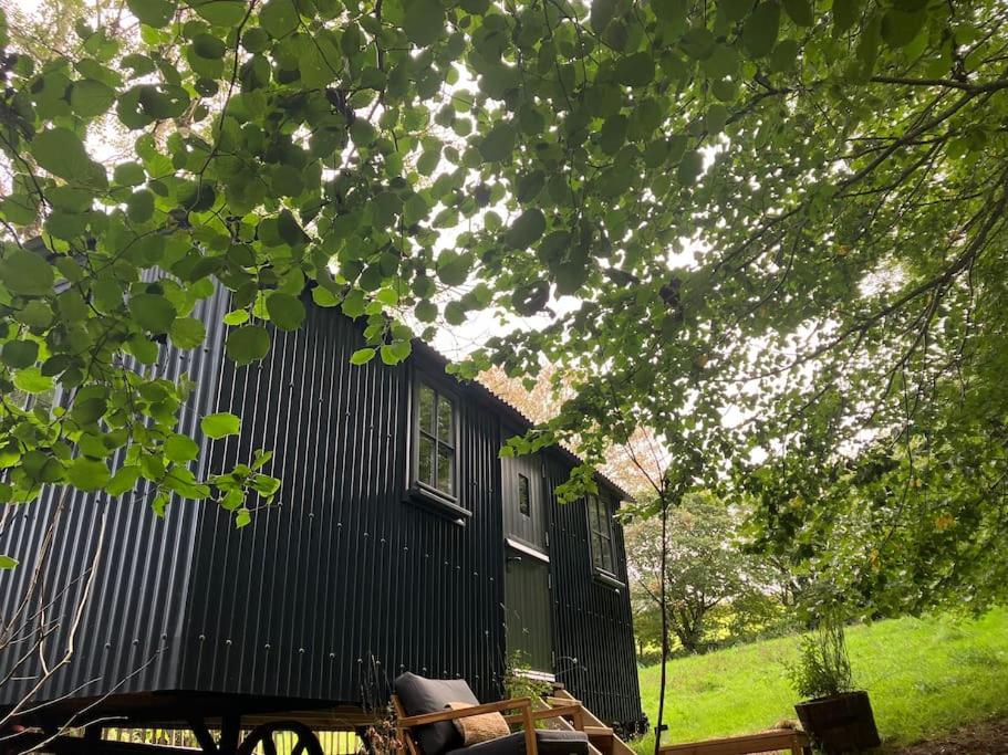 a black building with a window and some trees at Cornwall Woodland Dog Friendly Shepherd's Hut in Bodmin
