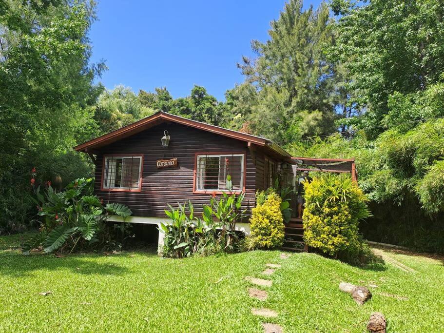 a log cabin in a yard with a green lawn at Cabaña hippie chic en isla del Delta (Rompani) in Tigre